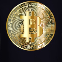 Bitcoin Long Sleeve 36591413
