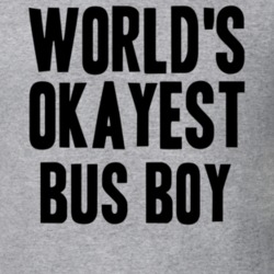 Worlds Okayest Bus Boy Job T Shirt 11521053