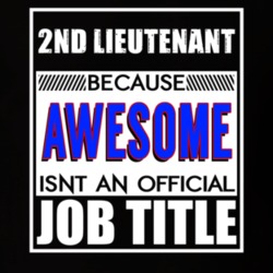 2nd Lieutenant Because Awesome Official Job Title T Shirt 12617171