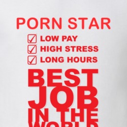 Porn Star Best Job Ever Occupation T Shirt 8850463