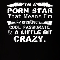 Im A Porn Star And A Little Bit Crazy Job T Shirt 9588854