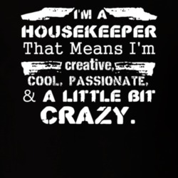 Im A Housekeeper And A Little Bit Crazy Job T Shirt 9590505