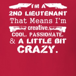 Im A 2Nd Lieutenant And A Little Bit Crazy Job T Shirt 9593212
