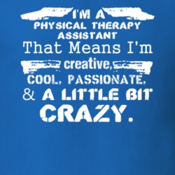 Im A Physical Therapy Assistant And A Little Bit Crazy Job T Shirt 9599670