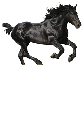 https://d1w8c6s6gmwlek.cloudfront.net/myluckytshop.com/overlays/361/579/36157969.png img