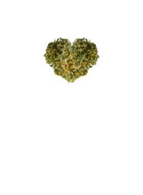 https://d1w8c6s6gmwlek.cloudfront.net/myluckytshop.com/overlays/362/459/36245961.png img