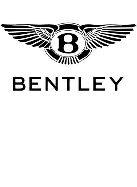 https://d1w8c6s6gmwlek.cloudfront.net/myluckytshop.com/overlays/401/875/40187512.png img