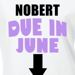 Nobert Due In June Last Name Maternity T Shirt 11759062