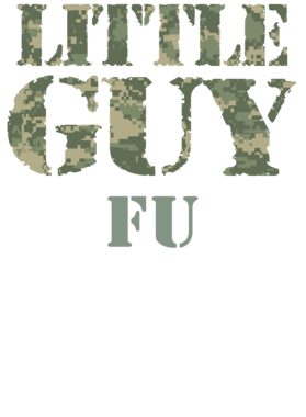 image overlay
