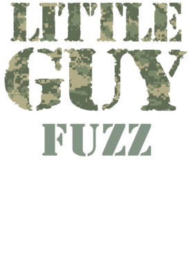 image overlay
