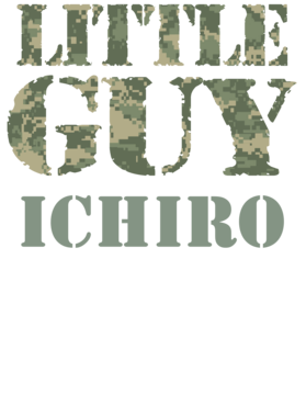 image overlay