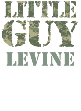 image overlay