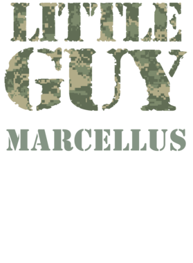 https://d1w8c6s6gmwlek.cloudfront.net/nameonmyshirt.com/overlays/893/648/8936484.png img