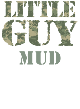 image overlay
