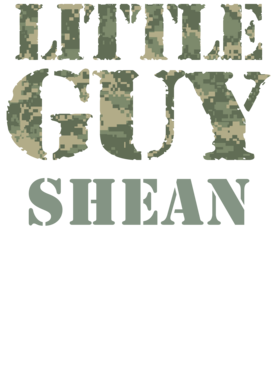image overlay