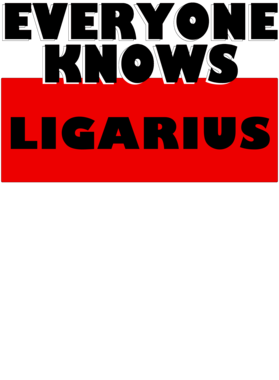 image overlay
