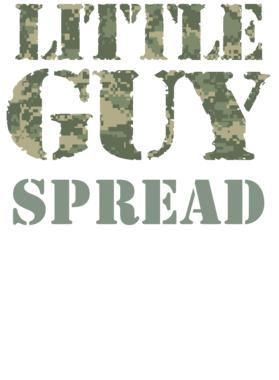 image overlay