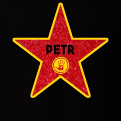 8973731