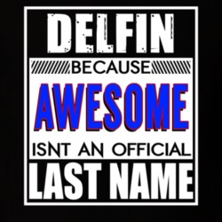 Delfin Because Awesome Official Last Name Funny T Shirt 12975011