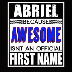Abriel Because Awesome Official First Name Funny T Shirt 13462281