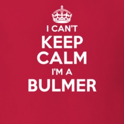 Bulmer I Can't Keep Calm Parody T Shirt 4515829