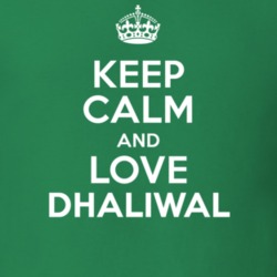 Dhaliwal Keep Calm And Love Parody Custom Name T Shirt 5646010