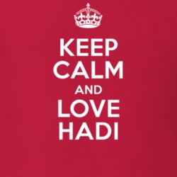 Hadi Keep Calm And Love Parody Custom Name T Shirt 5666661