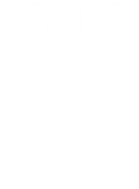 image overlay