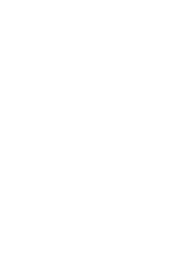 image overlay