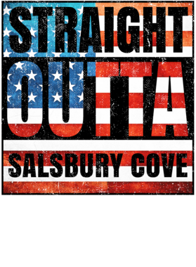 image overlay