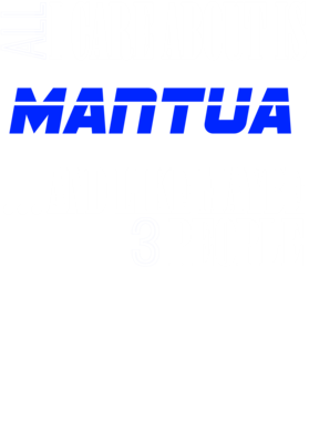 https://d1w8c6s6gmwlek.cloudfront.net/neighbourhoodtees.com/overlays/242/139/24213955.png img