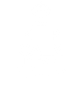https://d1w8c6s6gmwlek.cloudfront.net/neighbourhoodtees.com/overlays/242/146/24214618.png img