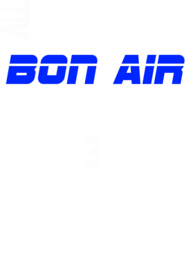https://d1w8c6s6gmwlek.cloudfront.net/neighbourhoodtees.com/overlays/242/146/24214643.png img
