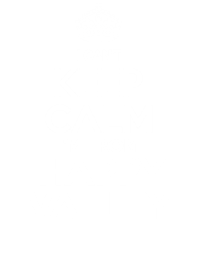 https://d1w8c6s6gmwlek.cloudfront.net/neighbourhoodtees.com/overlays/242/147/24214781.png img