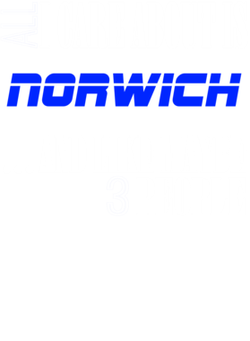 https://d1w8c6s6gmwlek.cloudfront.net/neighbourhoodtees.com/overlays/242/155/24215511.png img