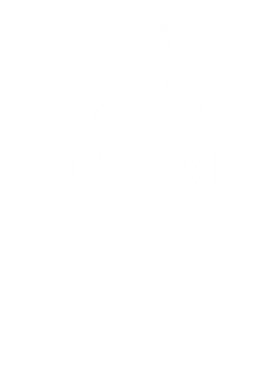 https://d1w8c6s6gmwlek.cloudfront.net/neighbourhoodtees.com/overlays/242/171/24217107.png img