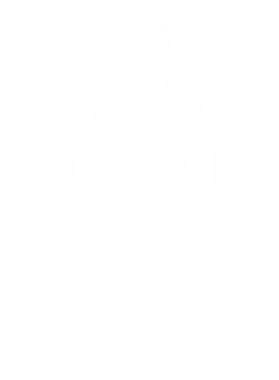 https://d1w8c6s6gmwlek.cloudfront.net/neighbourhoodtees.com/overlays/242/171/24217188.png img