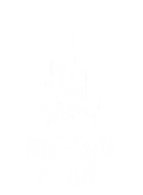 image overlay