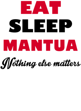 image overlay