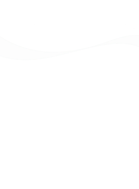 https://d1w8c6s6gmwlek.cloudfront.net/neighbourhoodtees.com/overlays/242/312/24231227.png img