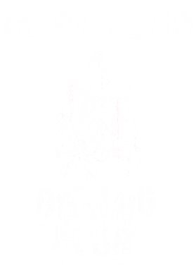 image overlay
