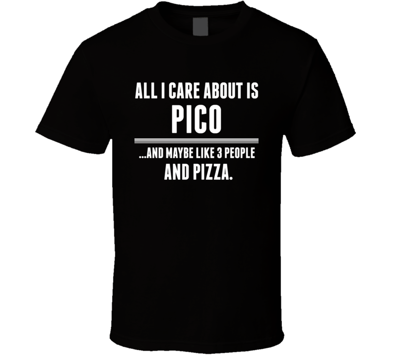 All I Care About Is Pico US T Shirt