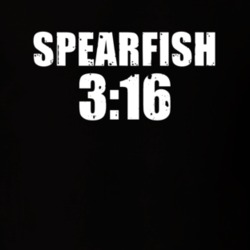 Spearfish 3:16 Stone Cold Steve Austin Wrestling Parody T Shirt 20678036
