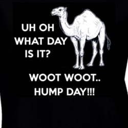 Hump day geico camel Hump day T Shirt 6028293