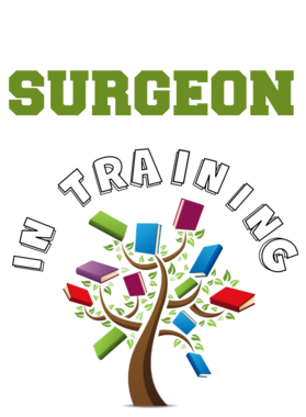 image overlay