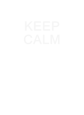 https://d1w8c6s6gmwlek.cloudfront.net/occupationtshirts.com/overlays/348/413/3484139.png img