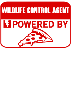 image overlay