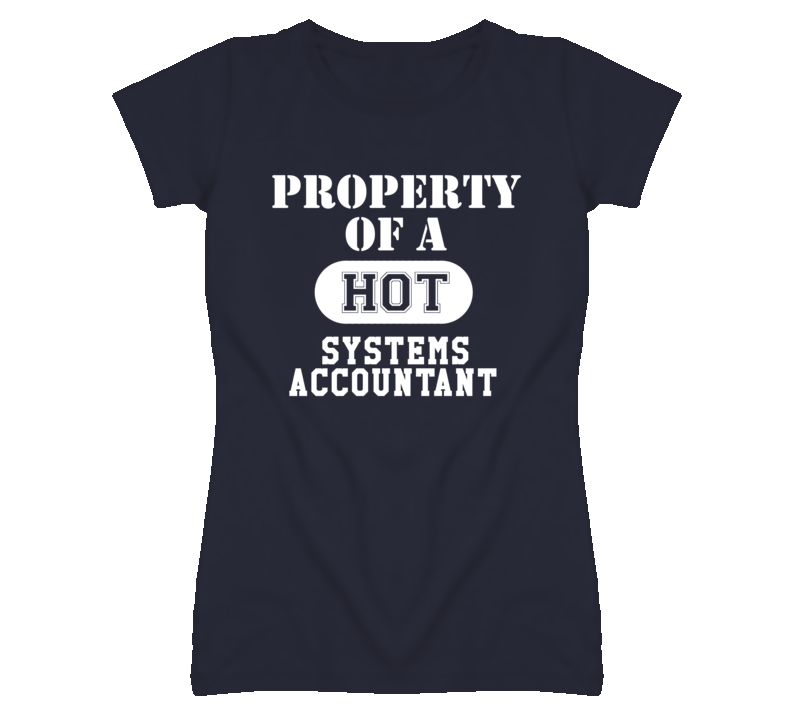 Property Of A Hot Systems Accountant Funny Job T Shirt