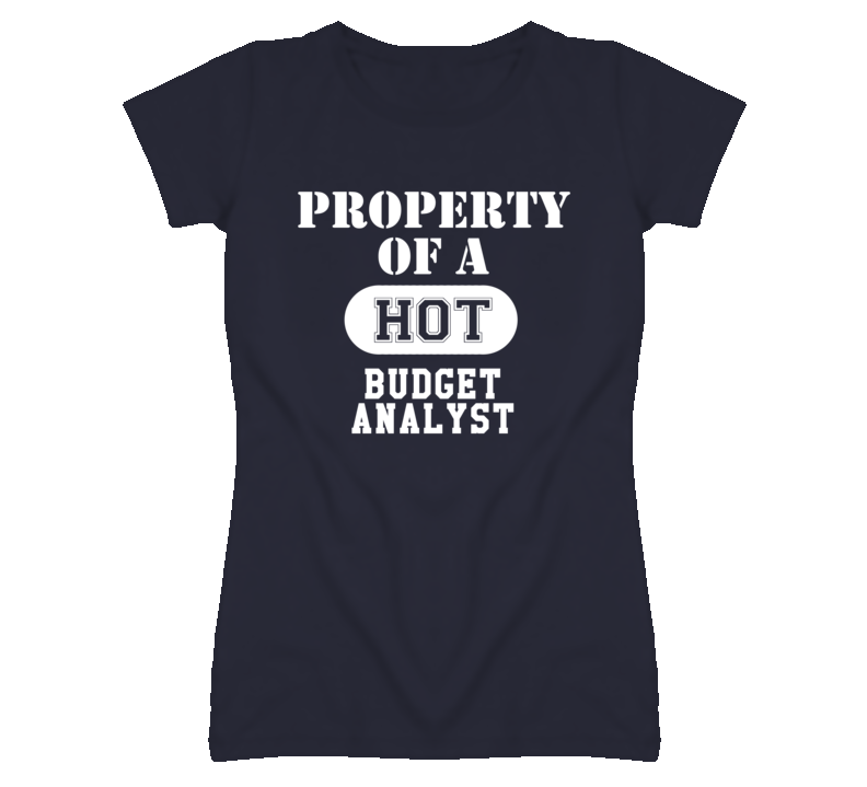 Property Of A Hot Budget Analyst Funny Job T Shirt
