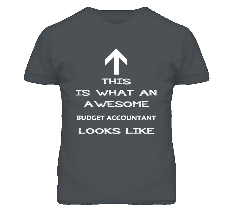 Budget Accountant Looks Like Arrow Simple T Shirt